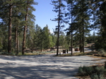 2-p5290015_thumb