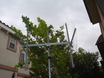 Ant1_thumb