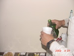 Dsc00784_thumb
