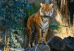 La_zoo_13_thumb